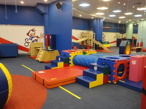 شركة النسور