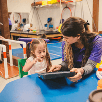 شركة النسور